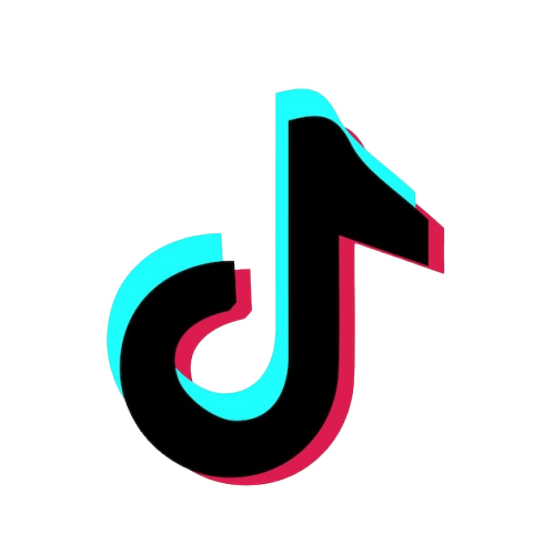 TikTok Downloader Logo